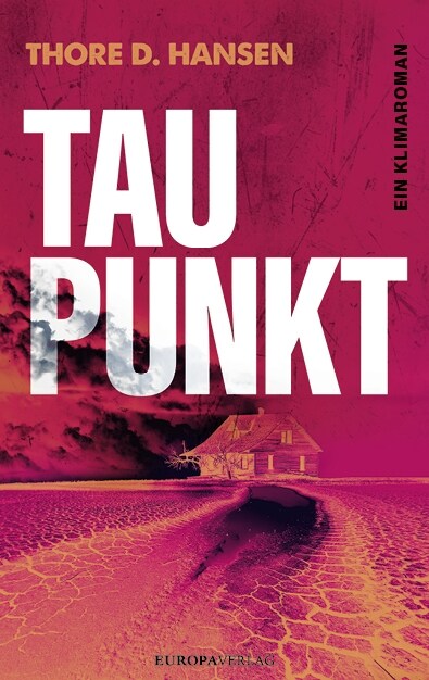 Taupunkt (Paperback)