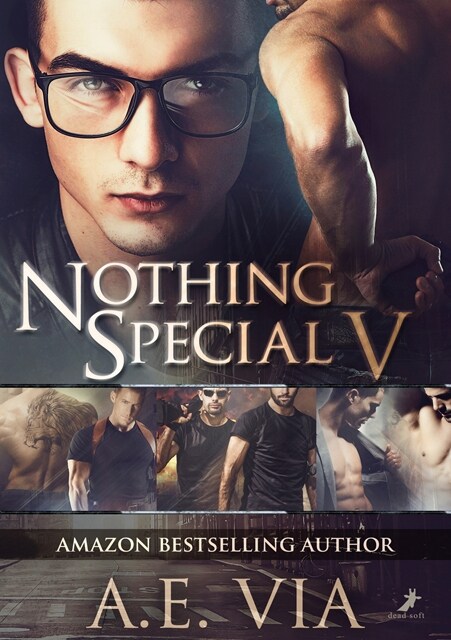 Nothing Special V (Book)