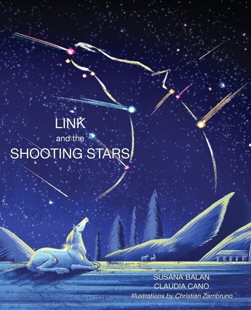 Link and the Shooting Stars (Paperback)