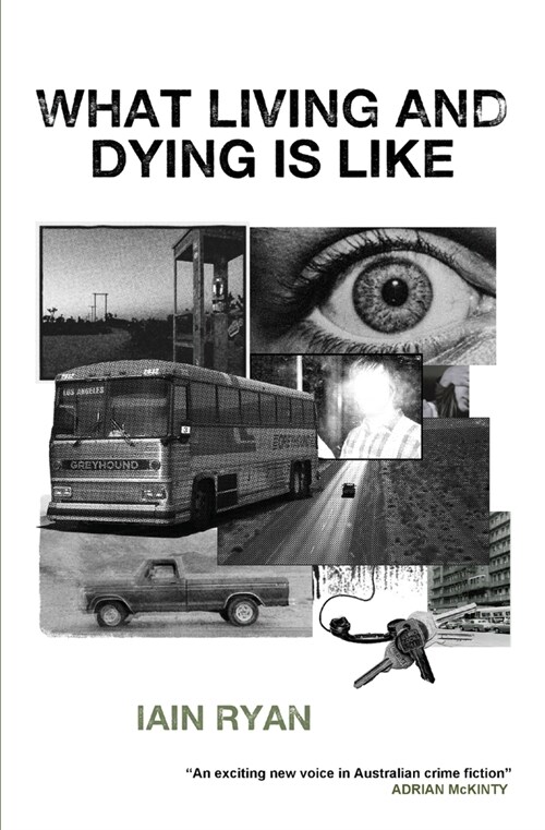 What Living And Dying Is Like (Paperback)