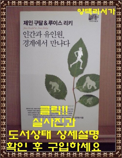 [중고] 제인 구달 & 루이스 리키 : 인간과 유인원, 경계에서 만나다