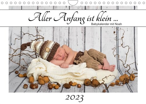 Aller Anfang ist klein - Babykalender mit Noah (Wandkalender 2023 DIN A4 quer) (Calendar)