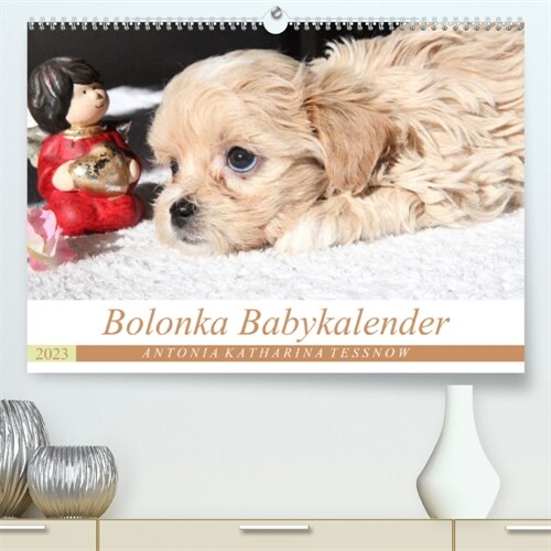 Bolonka Babykalender 2023 (Premium, hochwertiger DIN A2 Wandkalender 2023, Kunstdruck in Hochglanz) (Calendar)