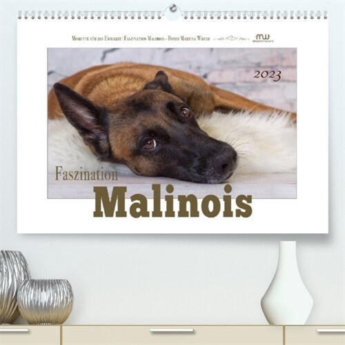 Faszination Malinois (Premium, hochwertiger DIN A2 Wandkalender 2023, Kunstdruck in Hochglanz) (Calendar)