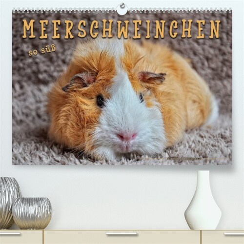 Meerschweinchen - so suß (Premium, hochwertiger DIN A2 Wandkalender 2023, Kunstdruck in Hochglanz) (Calendar)
