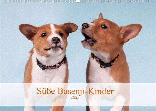 Suße Basenji-Kinder (Wandkalender 2023 DIN A2 quer) (Calendar)