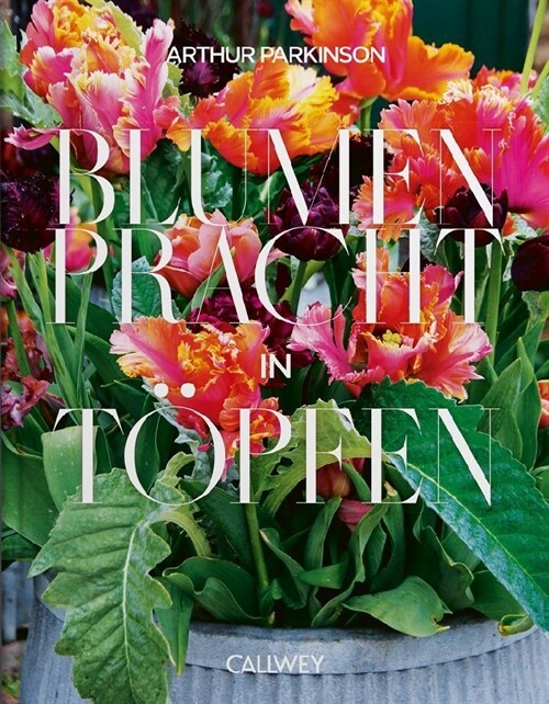 Blumenpracht in Topfen (Hardcover)