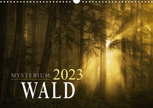 Mysterium Wald (Wandkalender 2023 DIN A3 quer) (Calendar)