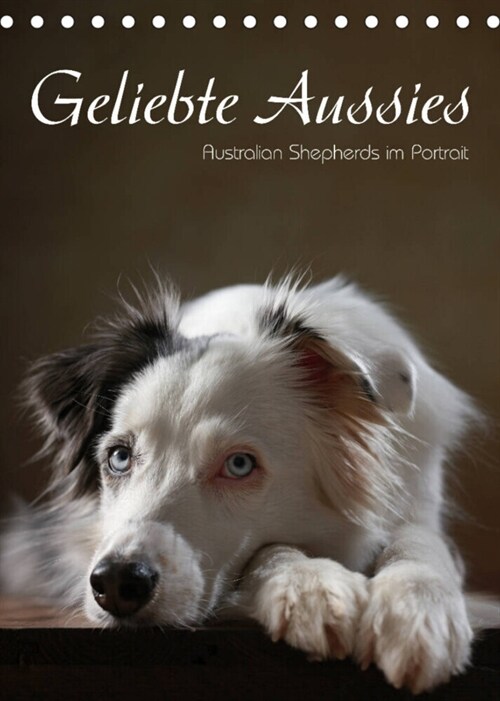 Geliebte Aussies - Australian Shepherds im Portrait (Tischkalender 2023 DIN A5 hoch) (Calendar)