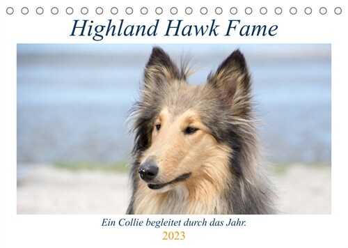 Highland Hawk Fame - Ein Collie begleitet durch das Jahr (Tischkalender 2023 DIN A5 quer) (Calendar)