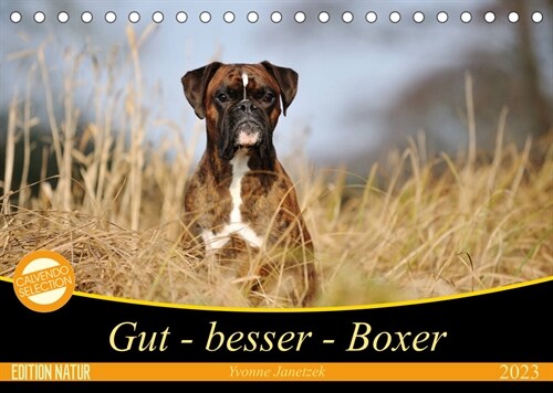 Gut - besser - Boxer (Tischkalender 2023 DIN A5 quer) (Calendar)