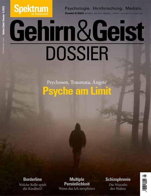 Gehirn&Geist Dossier - Psyche am Limit (Book)