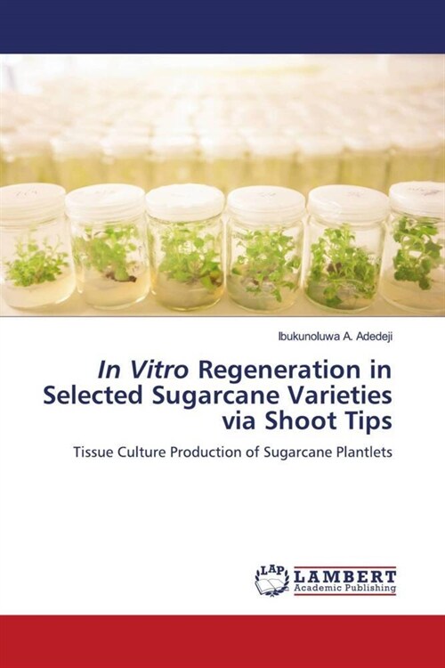 In Vitro Regeneration in Selected Sugarcane Varieties via Shoot Tips (Paperback)