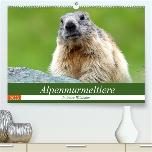 Alpenmurmeltiere in freier Wildbahn (Premium, hochwertiger DIN A2 Wandkalender 2023, Kunstdruck in Hochglanz) (Calendar)