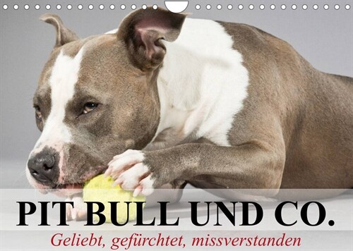 Pit Bull und Co. - Geliebt, gefurchtet, missverstanden (Wandkalender 2023 DIN A4 quer) (Calendar)