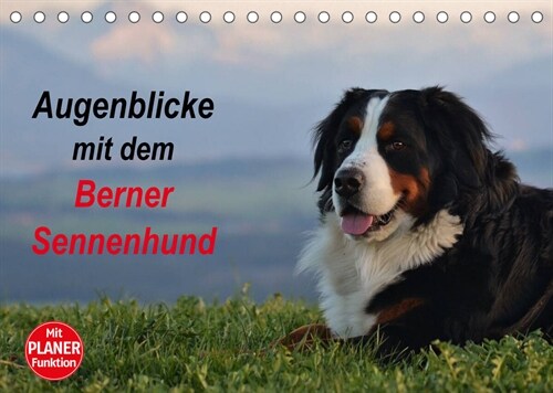 Augenblicke mit dem Berner Sennenhund (Tischkalender 2023 DIN A5 quer) (Calendar)