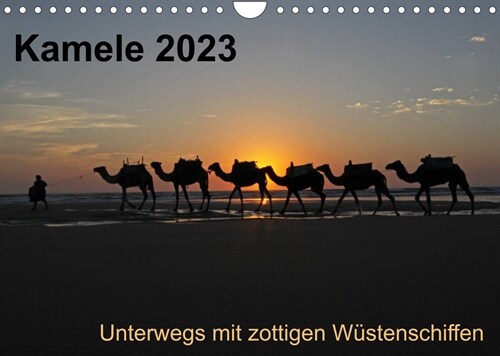 Kamele 2023 - Unterwegs mit zottigen WustenschiffenCH-Version  (Wandkalender 2023 DIN A4 quer) (Calendar)