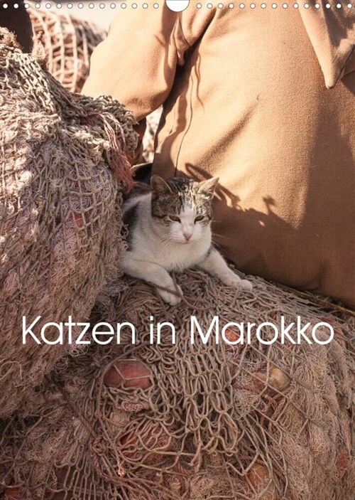 Katzen in Marokko (Wandkalender 2023 DIN A3 hoch) (Calendar)