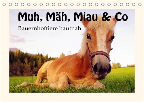 Muh, Mah, Miau & Co (Tischkalender 2023 DIN A5 quer) (Calendar)