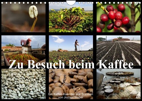 Zu Besuch beim Kaffee (Wandkalender 2023 DIN A4 quer) (Calendar)