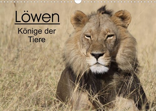 Lowen - Konige der Tiere (Wandkalender 2023 DIN A3 quer) (Calendar)