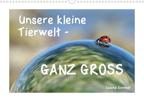 Unsere kleine Tierwelt - GANZ GROSS (Wandkalender 2023 DIN A3 quer) (Calendar)