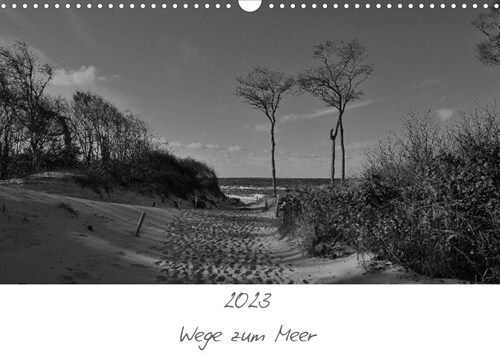 Wege zum Meer (Wandkalender 2023 DIN A3 quer) (Calendar)