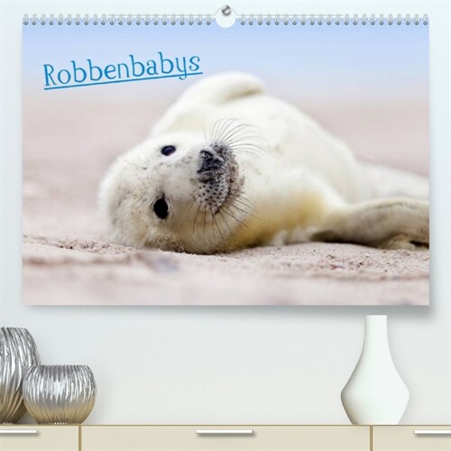 Robbenbabys (Premium, hochwertiger DIN A2 Wandkalender 2023, Kunstdruck in Hochglanz) (Calendar)