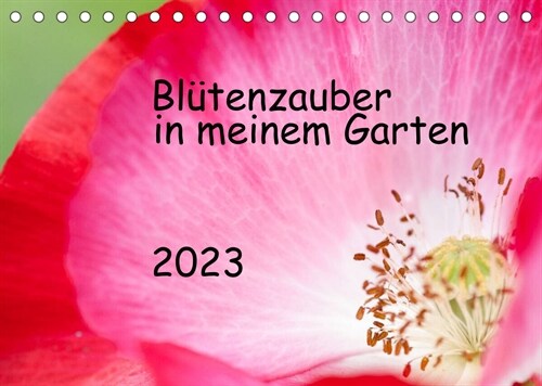 Blutenzauber in meinem Garten (Tischkalender 2023 DIN A5 quer) (Calendar)