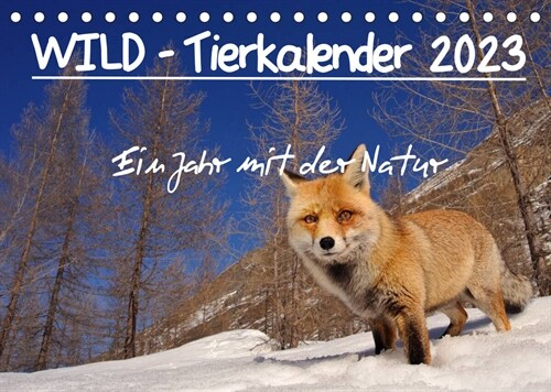 WILD - Tierkalender 2023 (Tischkalender 2023 DIN A5 quer) (Calendar)