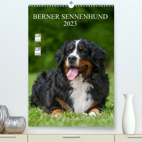 Berner Sennenhund 2023 (Premium, hochwertiger DIN A2 Wandkalender 2023, Kunstdruck in Hochglanz) (Calendar)