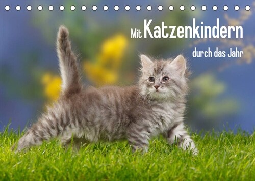 Mit Katzenkindern durch das Jahr (Tischkalender 2023 DIN A5 quer) (Calendar)