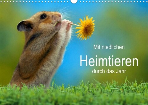 Mit niedlichen Heimtieren durch das Jahr (Wandkalender 2023 DIN A3 quer) (Calendar)