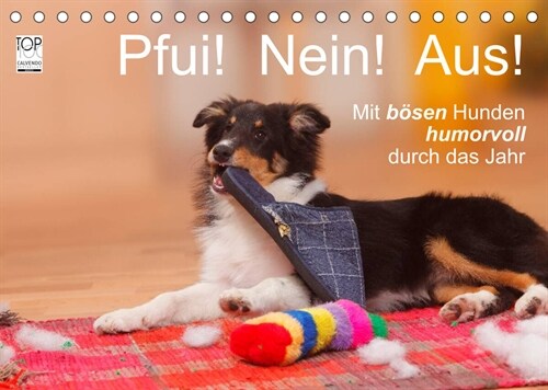 Pfui! Nein! Aus! - Mit bosen Hunden humorvoll durch das Jahr (Tischkalender 2023 DIN A5 quer) (Calendar)