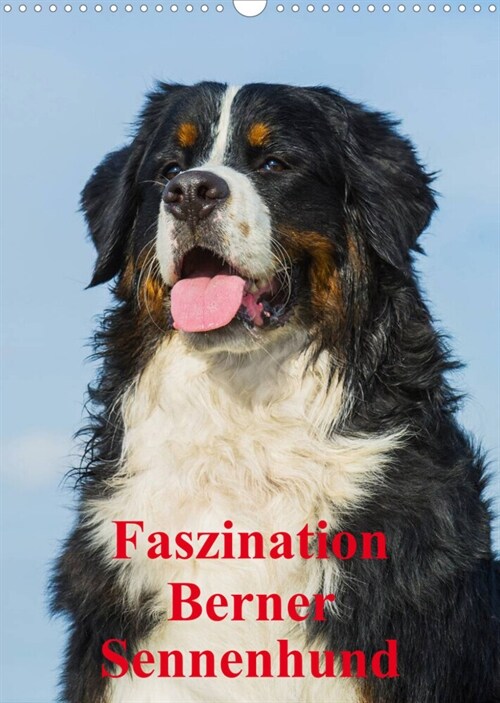 Faszination Berner Sennenhund (Wandkalender 2023 DIN A3 hoch) (Calendar)