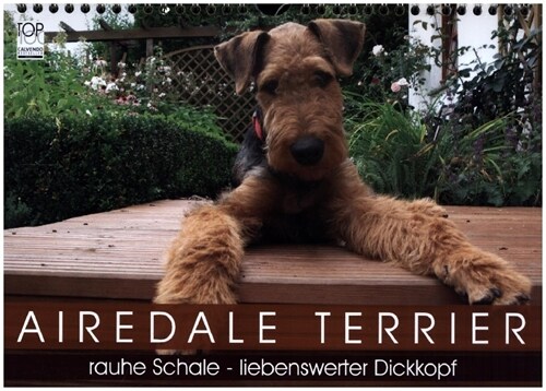Airedale Terrier (Wandkalender 2023 DIN A4 quer) (Calendar)