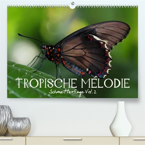 Tropische Melodie - Schmetterlinge Vol.2 (Premium, hochwertiger DIN A2 Wandkalender 2023, Kunstdruck in Hochglanz) (Calendar)
