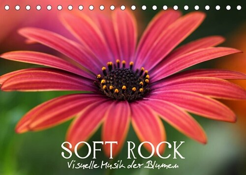 Soft Rock - Visuelle Musik der Blumen (Tischkalender 2023 DIN A5 quer) (Calendar)