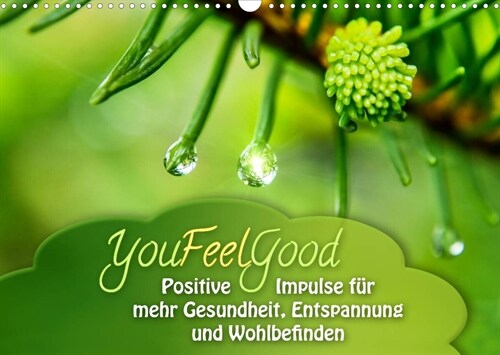 YouFeelGood - Positive Impulse fur mehr Gesundheit, Entspannung und Wohlbefinden (Wandkalender 2023 DIN A3 quer) (Calendar)