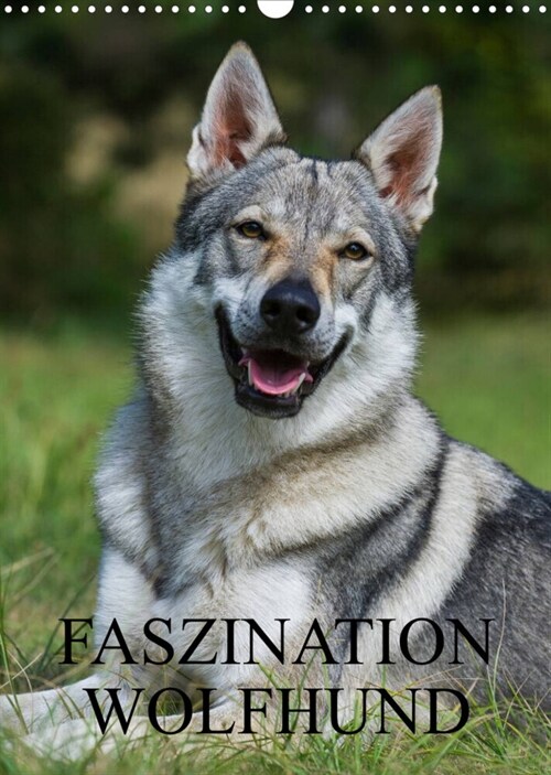 Faszination Wolfhund (Wandkalender 2023 DIN A3 hoch) (Calendar)