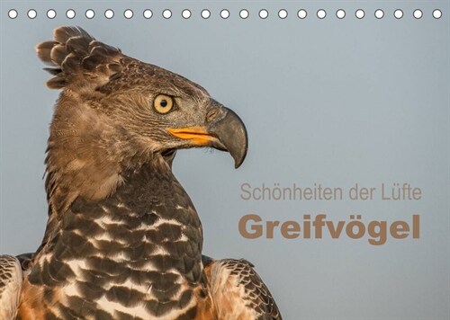 Schonheiten der Lufte - Greifvogel (Tischkalender 2023 DIN A5 quer) (Calendar)