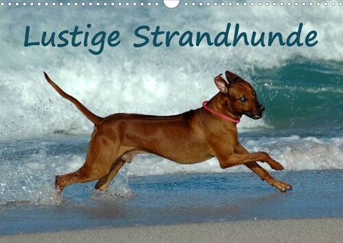 Lustige Strandhunde (Wandkalender 2023 DIN A3 quer) (Calendar)