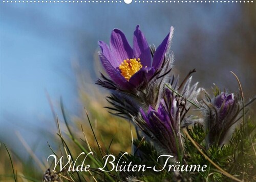 Wilde Bluten-Traume (Wandkalender 2023 DIN A2 quer) (Calendar)