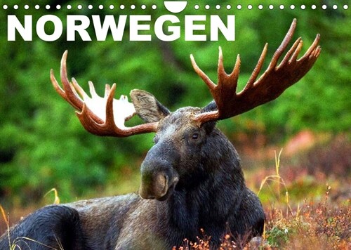 Norwegen (Wandkalender 2023 DIN A4 quer) (Calendar)