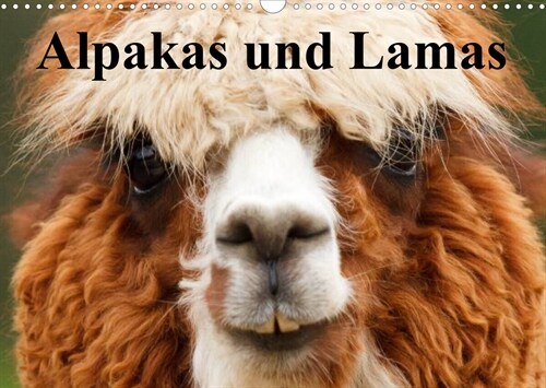 Alpakas und Lamas (Wandkalender 2023 DIN A3 quer) (Calendar)