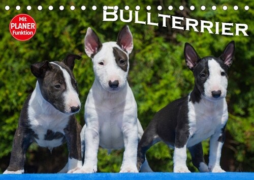 Bullterrier (Tischkalender 2023 DIN A5 quer) (Calendar)