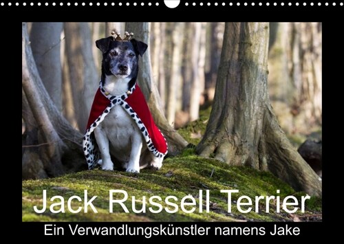 Jack Russell Terrier.....Ein Verwandlungskunstler namens Jake (Wandkalender 2023 DIN A3 quer) (Calendar)