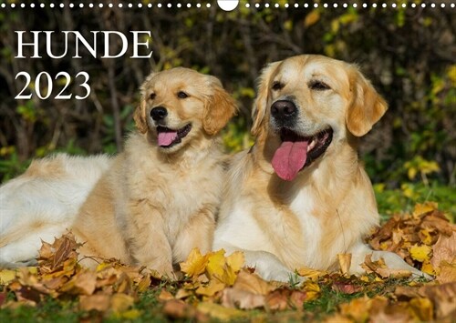 Hunde - Treue Freunde fur´s Leben (Wandkalender 2023 DIN A3 quer) (Calendar)