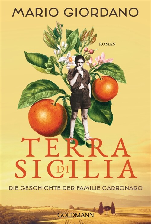 Terra di Sicilia. Die Geschichte der Familie Carbonaro (Paperback)