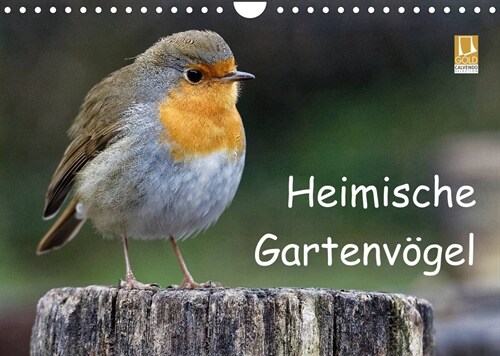 Heimische Gartenvogel (Wandkalender 2023 DIN A4 quer) (Calendar)